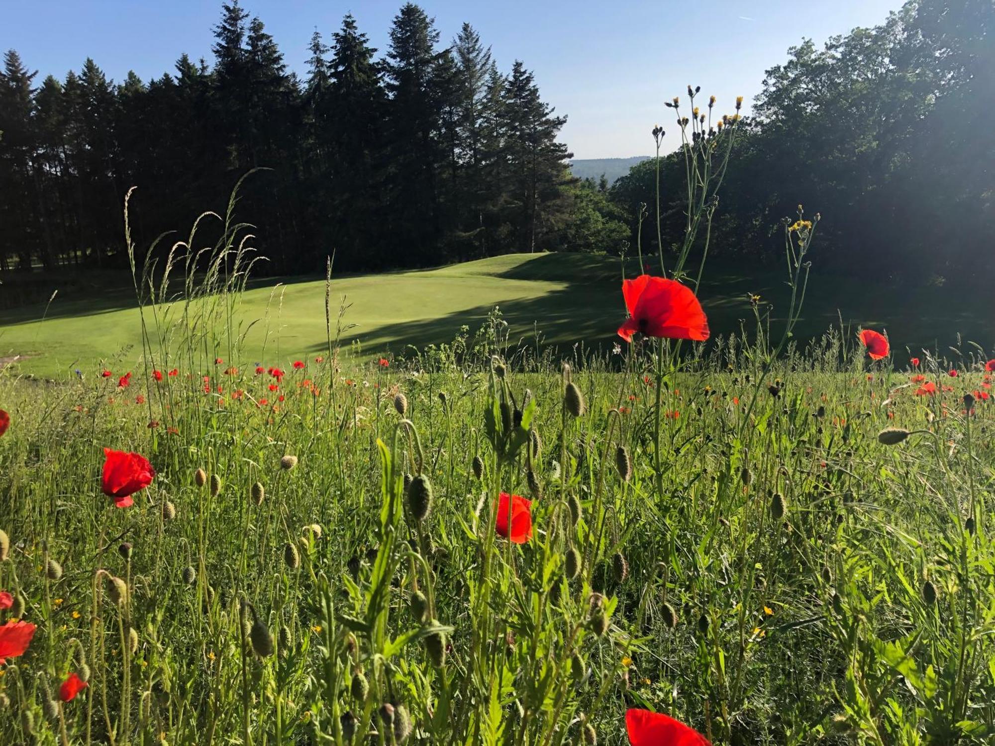Gaestehaus Koehler Waldsolms Luaran gambar