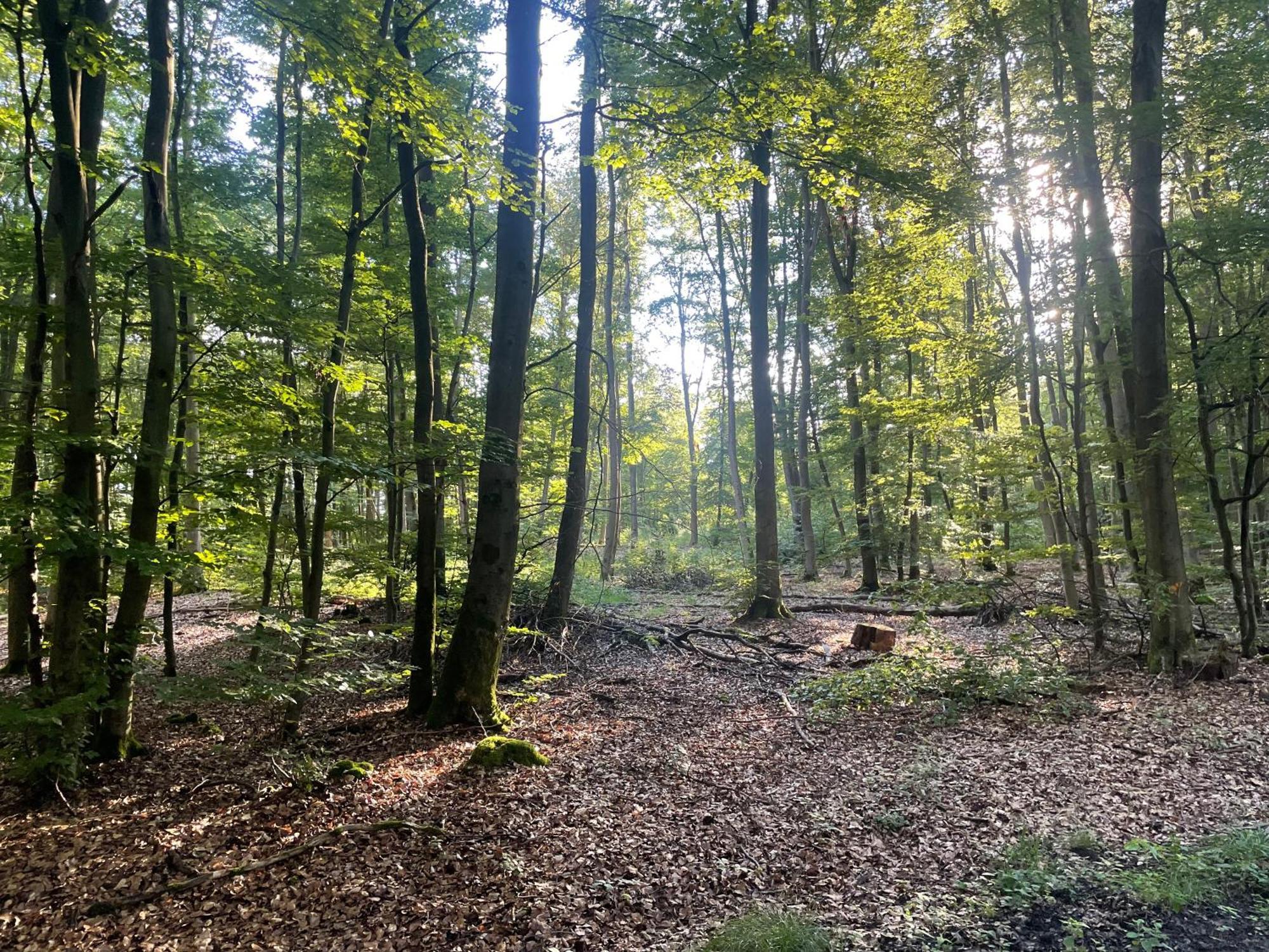 Gaestehaus Koehler Waldsolms Luaran gambar